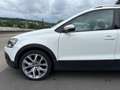 Volkswagen Polo CrossPolo V 1.4TDI DSG Navi Tempo PDC 17" Weiß - thumbnail 14