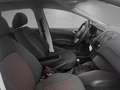 SEAT Ibiza 1,2  | PICKERL BIS 09/2026 | Schwarz - thumbnail 8