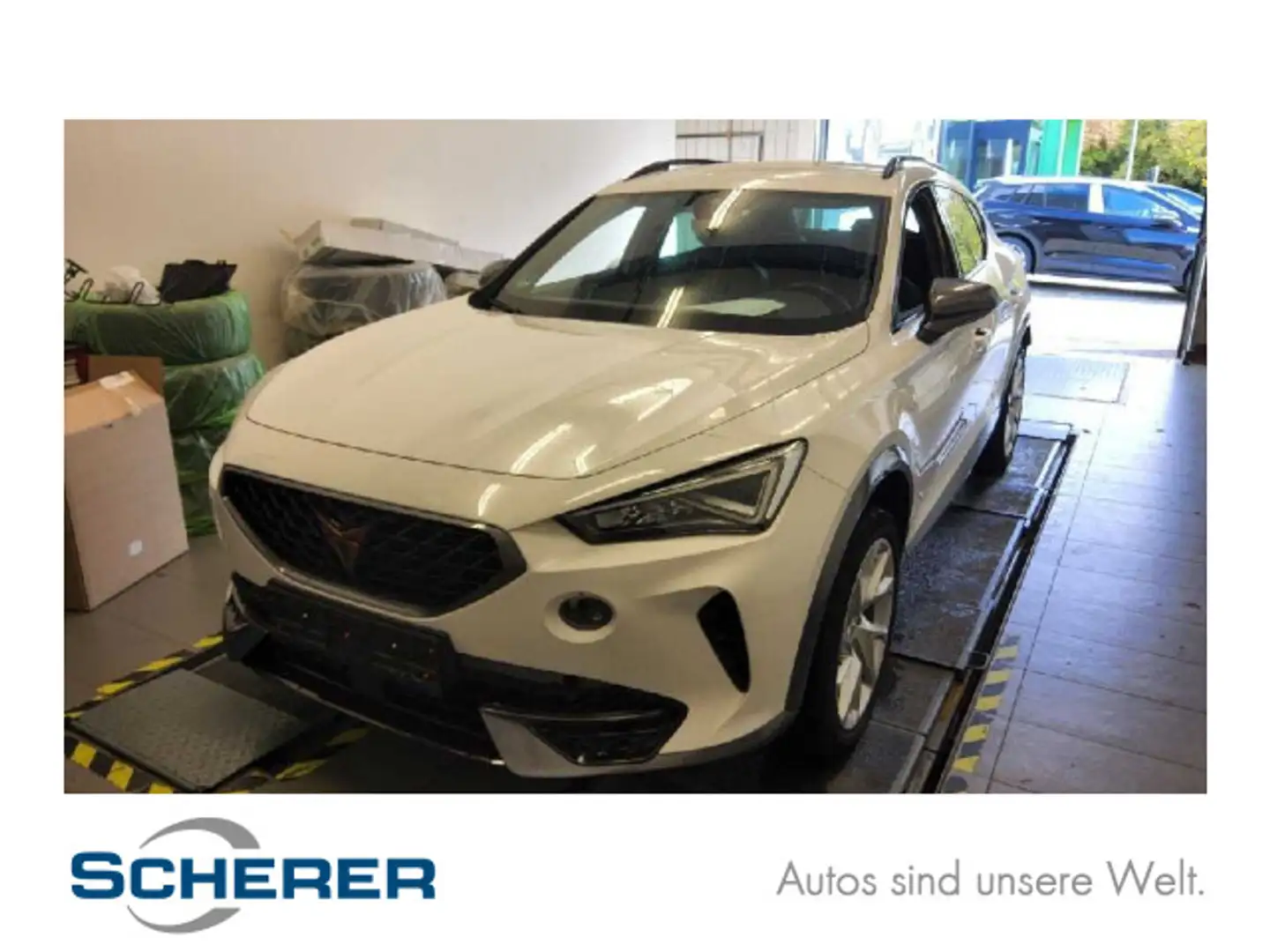 CUPRA Formentor 1.5 TSI DSG Full Link, Winter-Paket, e Weiß - 1
