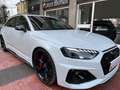 Audi RS4 Avant2.9 tfsi- freni carbo/tetto/ garanzia4anni Bianco - thumbnail 5