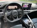 Audi RS4 Avant2.9 tfsi- freni carbo/tetto/ garanzia4anni Bianco - thumbnail 10