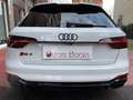 Audi RS4 Avant2.9 tfsi- freni carbo/tetto/ garanzia4anni Bianco - thumbnail 8