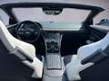 Aston Martin DB12 Volante / B&W / Full PPF / CF Interior Silber - thumbnail 9