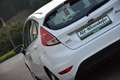 Ford Fiesta Titanium 1,0l EcoBoost / Service NEU / Weiß - thumbnail 6