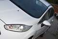 Ford Fiesta Titanium 1,0l EcoBoost / Service NEU / Weiß - thumbnail 12