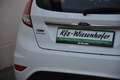 Ford Fiesta Titanium 1,0l EcoBoost / Service NEU / Weiß - thumbnail 7