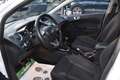 Ford Fiesta Titanium 1,0l EcoBoost / Service NEU / Weiß - thumbnail 23