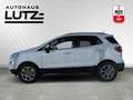 Ford EcoSport Titanium Klima Navi Wipa PDC Kamera Tempomat Wit - thumbnail 2