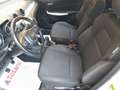 Suzuki Swift VI 1.2h Top 2wd Bianco - thumbnail 10