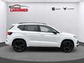 CUPRA Ateca 2.0TSI DSG 4Drive *PANO+COPPER+AHK*299€ mtl Weiß - thumbnail 6