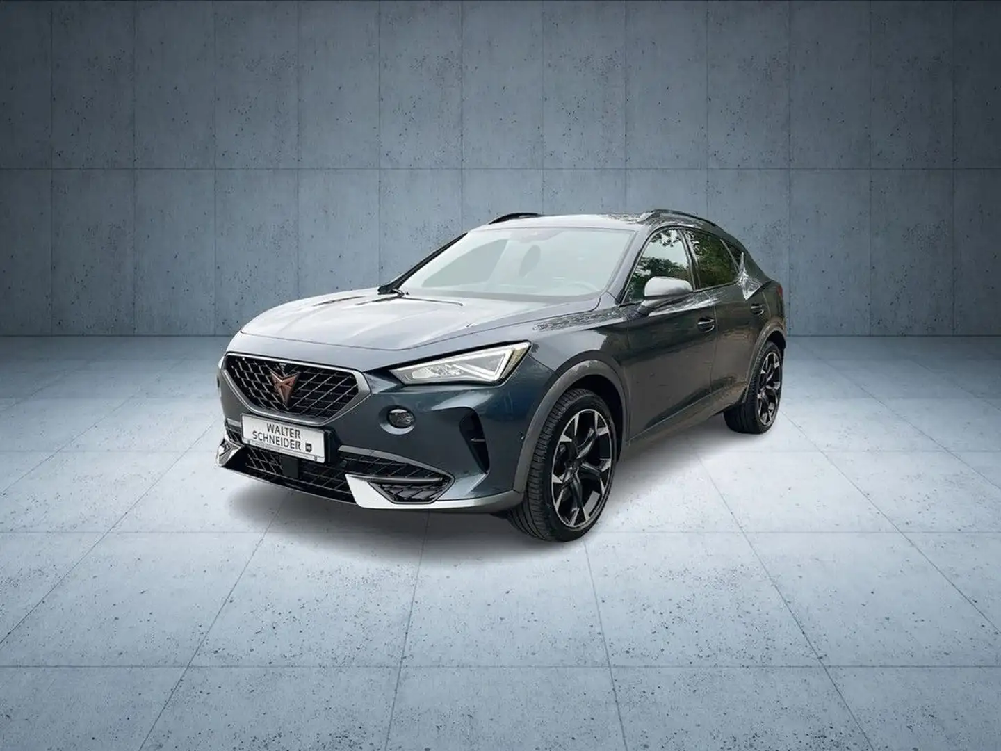 CUPRA Formentor 2.0 TSI DSG VZ 4Drive AHK Pano Navi LE Grigio - 2