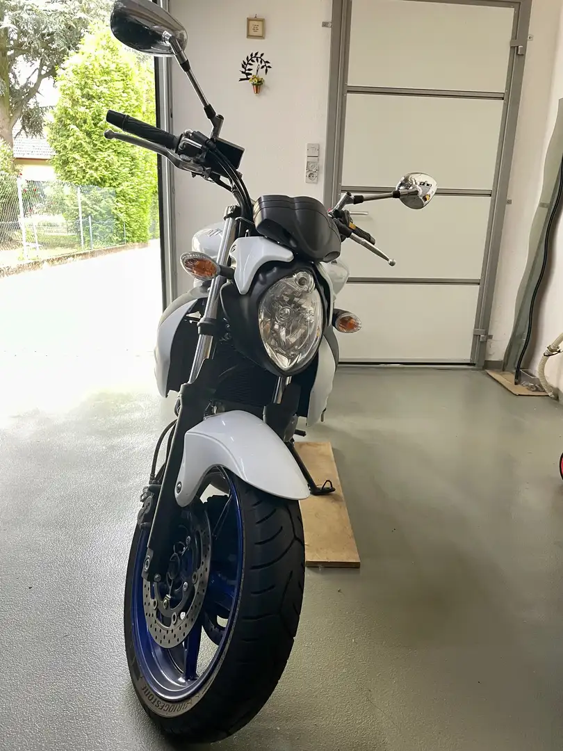 Suzuki Gladius 650 SFV650A Fehér - 1
