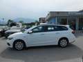 Fiat Tipo Tipo SW 1.3 multijet Lounge Bianco - thumbnail 4