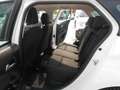 Fiat Tipo Tipo SW 1.3 multijet Lounge Bianco - thumbnail 15