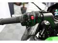 Kawasaki Ninja 650 650 Pack Tourer Verde - thumbnail 12