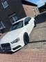 Audi A5 3.0 TDI quattro (180kW) Weiß - thumbnail 1