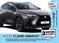 Lexus NX 450h+ NX 450+ F-SPORT AUT+Kamera+360+ACC+Navi Grau - thumbnail 1