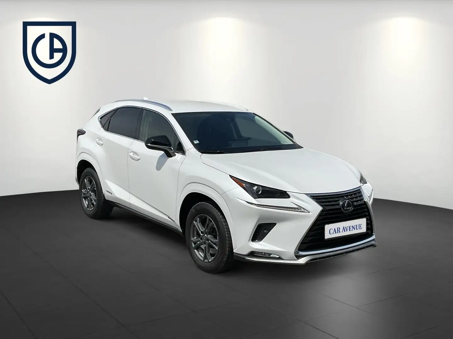Lexus NX 300 Sitzheizung/Leder/Kam Weiß - 2
