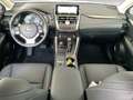 Lexus NX 300 Sitzheizung/Leder/Kam Weiß - thumbnail 9
