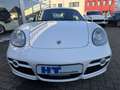 Porsche Cayman Weiß - thumbnail 11