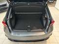 Skoda Fabia Monte Carlo 1.0 TSI DSG Navi Kamera Klima Grau - thumbnail 8