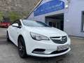 Opel Cascada Edition ecoFlex Klima 19" Ahk Blanc - thumbnail 1