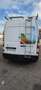 Renault Master Master Combi L2H2 dCi 145 E6 Energy - thumbnail 5