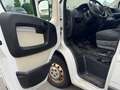 Fiat Ducato L1H1 Weiß - thumbnail 5