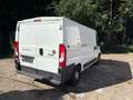 Fiat Ducato 130 L2H1 RS: 3450 mm, Klima, Navi, TÜV NEU Weiß - thumbnail 2
