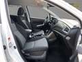 Suzuki SX4 S-Cross 1.5 COMFORT *KLIMA*PDC*CAM*SHZ*CARPLAY Weiß - thumbnail 7