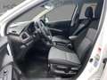 Suzuki SX4 S-Cross 1.5 COMFORT *KLIMA*PDC*CAM*SHZ*CARPLAY Weiß - thumbnail 12