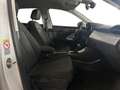 Audi Q3 35 TDI S tronic Business Advanced Bianco - thumbnail 7