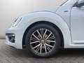 Volkswagen Beetle Cabriolet 2.0 TDI Allstar *1.HAND*NAVI* Argent - thumbnail 19