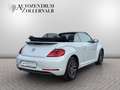 Volkswagen Beetle Cabriolet 2.0 TDI Allstar *1.HAND*NAVI* Argent - thumbnail 6