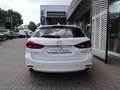 Mazda 6 Takumi G-194 AT GSD Allwetter NAVI Nappa BOSE Matr Blanc - thumbnail 4