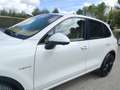Porsche Cayenne S E-Hybrid Blanco - thumbnail 33