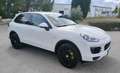 Porsche Cayenne S E-Hybrid Blanco - thumbnail 2