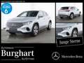 Mercedes-Benz EQA 300 EQA 300 4M Progressive/Advanced/AHK/Ambiente/LED Argintiu - thumbnail 1