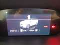 Skoda Enyaq iV - Enyaq iV 80x Sportline 4x4 Blu/Azzurro - thumbnail 11