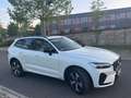 Volvo XC60 PLUS DARK Plug-In Hybrid*360*STH*360°*SD*SL Blanc - thumbnail 2
