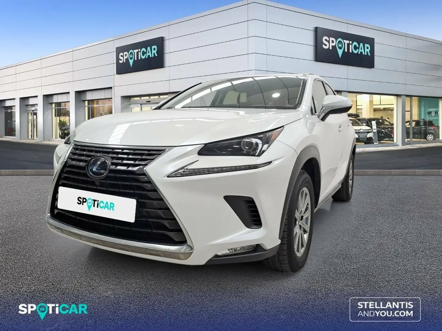 Lexus NX 300h 2.5  Navigation 2WD Business Blanco - 1