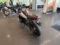 BMW R 1 300 R Neufahrzeug sofort verfügbar Blanc - thumbnail 6