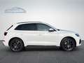 Audi Q5 40 TDI quattro S line/KAMERA/NAVI/B&O Weiß - thumbnail 4