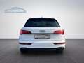 Audi Q5 40 TDI quattro S line/KAMERA/NAVI/B&O Weiß - thumbnail 6