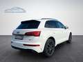 Audi Q5 40 TDI quattro S line/KAMERA/NAVI/B&O Weiß - thumbnail 7