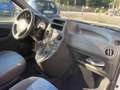 Fiat Panda 1.2 Dynamic 69cv E5 X NEOPATENTATI Bianco - thumbnail 13