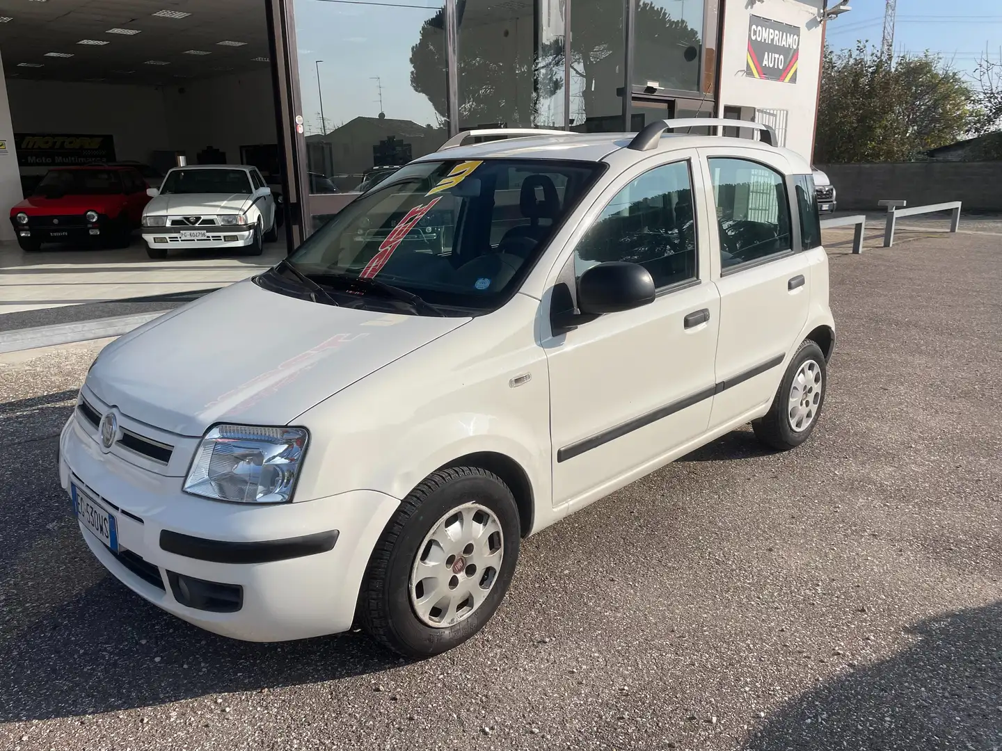 Fiat Panda 1.2 Dynamic 69cv E5 X NEOPATENTATI Bianco - 1