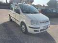 Fiat Panda 1.2 Dynamic 69cv E5 X NEOPATENTATI Bianco - thumbnail 3