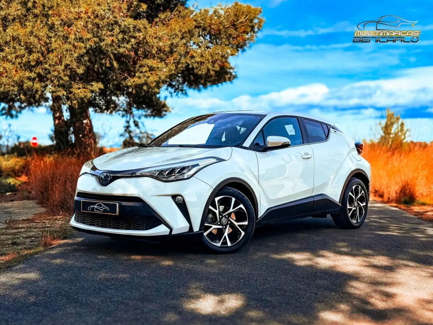 Toyota C-HR 125H Advance Blanco - 1