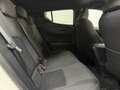 Toyota C-HR 125H Advance Blanco - thumbnail 23
